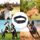 thumbnail image 5 of Apuakthei The Dapper Dog tiene un collar ajustable para perros pequeños, 5 of 5