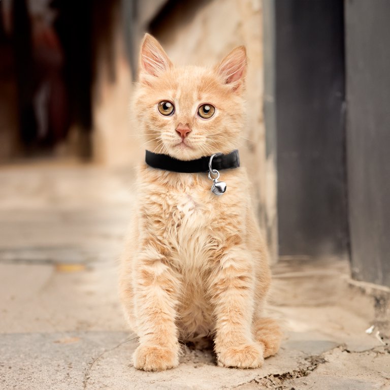 Gyapet Cat Collar With Bow Tie And Bell - Breakaway Safety Collar, Adjustable 7-11 Inches