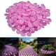thumbnail image 1 of Piedras Luminosas para Decoración de Jardín y Acuario, Guijarros que Brillan en la Oscuridad, Resina Natural, Uso Interior y Exterior, 150 Piezas, 1 of 9