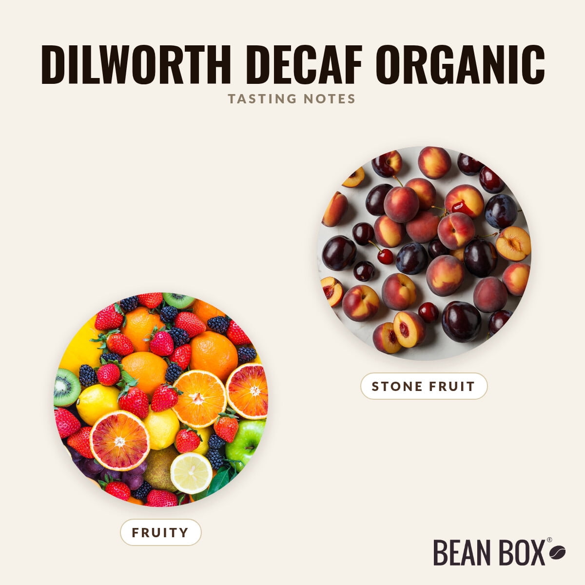 Dilworth Decaf Organic - Roasted by Blossom Coffee Roasters - Whole Bean Coffee - 2lb Bag