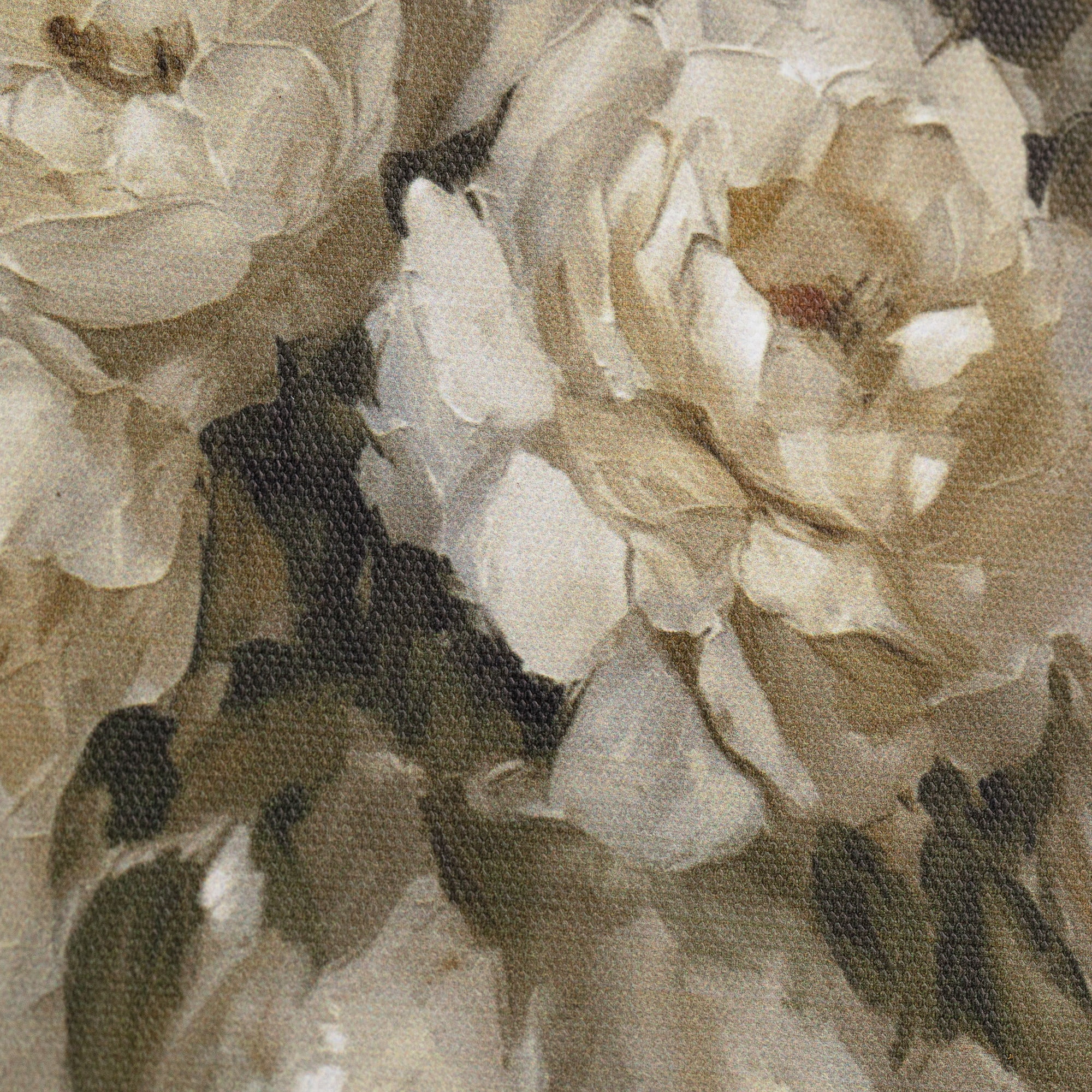 My Texas House Spring Art Luminous White Roses Framed Canvas w/Velvet Hanger 6x8