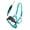 Black/Tan/Teal, variant on Horse Noseband Tack Bronc Leather HALTER Tiedown Lead Rope 280RS04