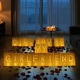 thumbnail image 2 of ERNTRNL Will You Be My Girlfriend Sign - Will You Be My Girlfriend Proposals Light Up Letters with Roses, Romantic Decorations Special Night, Valentines Day Brithday Celebrations, 2 of 8