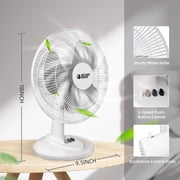 BEYOND BREEZE Oscillating Table Fan 12-Inch, Quiet 3-Speed Portable Small Desk Fan with Adjustable Tilt and Safety Grille, Ideal for Bedroom, Office, Home
