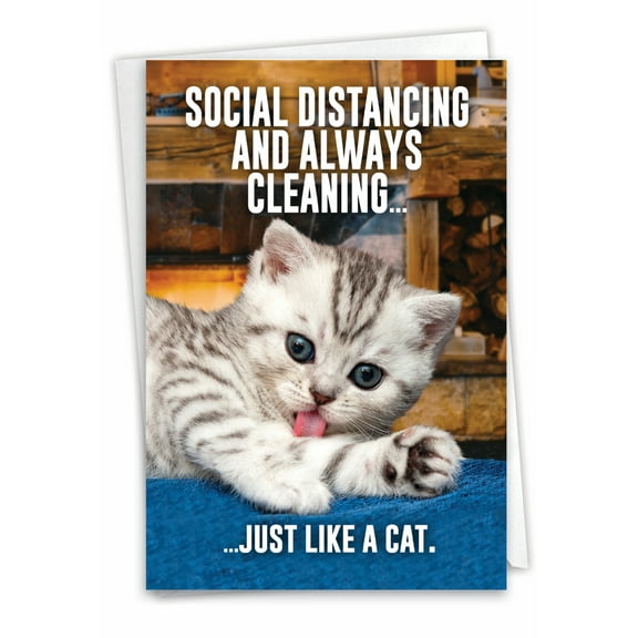 1 Funny Friendship Card with Envelope - Like A Cat C9254FRG