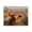 Longhorn Cattle Desert Canyon, variant on Stupell Industries Rustic Lodge Horned Highland Cow Gazing Canvas Art, 20 x 16, by Julia Frost
