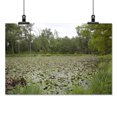 thumbnail image 2 of Print: Kenilworth Park And Aquatic Gardens, Also Known As Anacostia Park, 2 of 4