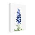 thumbnail image 3 of Canvas Wall Art - blursbyai 'Watercolor Texas Bluebonnet' Wall Art for Living Room, Bedroom, or Office Décor by Trademark Fine Art - 22 x 32 Inches - 22x32, 3 of 5