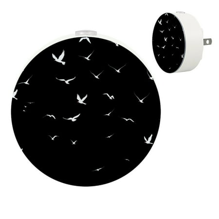 

YZUOUZY Lamp for Bedroom Lamps for Bedroom Bedside Lamps Set of 2 Colorful Birds Black Background