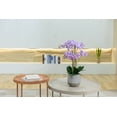thumbnail image 6 of 27.5" Artificial Faux Purple Orchid Arrangement in Planter | Real Touch Purple Moth Phalaenopsis Orchids, 6 of 6