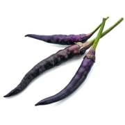 Angle View: Pepper Seeds - Hot - Cayenne Purple - 0.25 Oz ~1,250 Seeds - Capsicum annuum - Farm & Garden Vegetable Seeds - Non-GMO, Heirloom, Open Pollinated, Annual