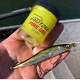 thumbnail image 3 of Pautzke Fire Gel Attractant 1.65oz. (Shad), 3 of 10