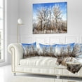 thumbnail image 2 of Designart Beautiful Winter Evening View - Landscape Printed Throw Pillow - 16x16, 2 of 4
