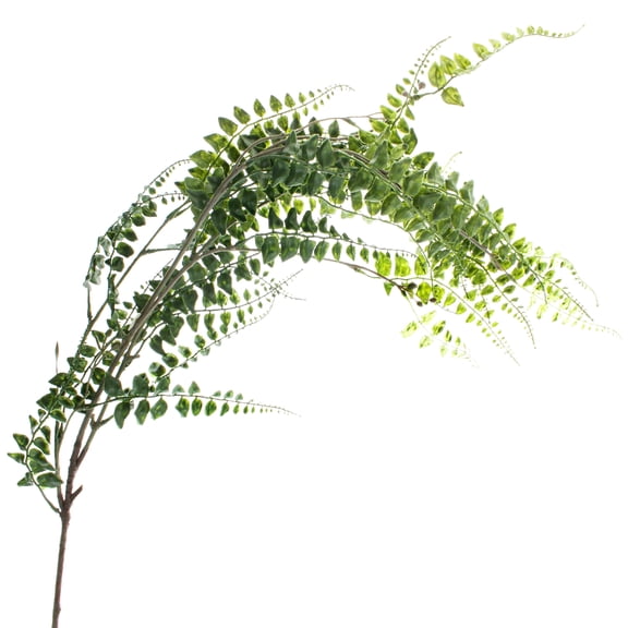 12 Pack: Green Fern Leaf Spray by Ashland
