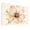 Color 1, variant on 8 Pack Art Acoustic Panels Sound Absorbing Vintage Boho Botanical Black White Flower Modern Farmhouse Floral Tall Decorative Soundproof Wall Panels Self Adhesive for Nursery Game Room Bedroom 48"x32"