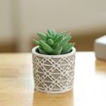 thumbnail image 3 of Gwong Decoración hogareña Fake Potted Plant simulado Fácil de cuidar PVC Mini surtido suculento artificial en conserva para el hogar Gwong 21083471, 3 of 6