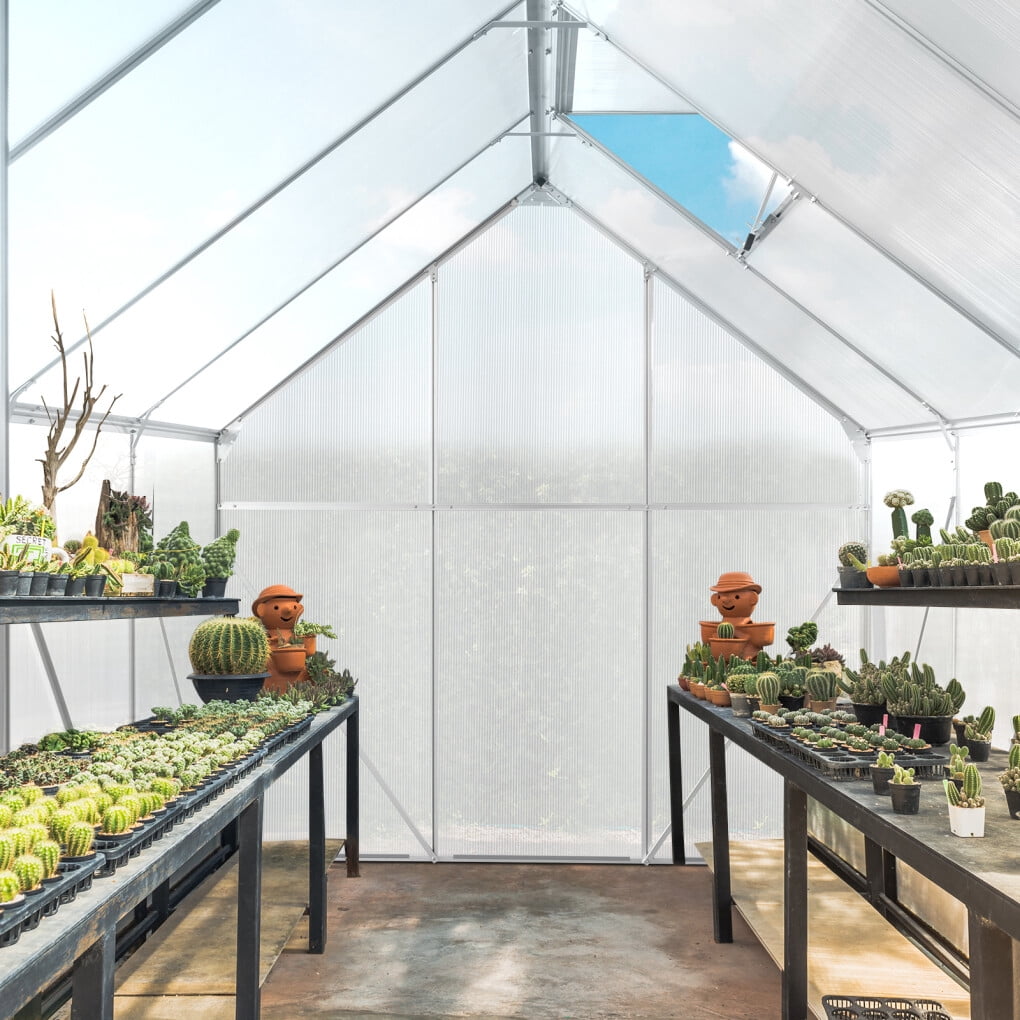 6x8 FT Greenhouse for Outdoors, Polycarbonate Greenhouse with Roof Vent and Sliding Door, Aluminum Large Walk-in Greenhouse for Outside Garden Backyard, Silver