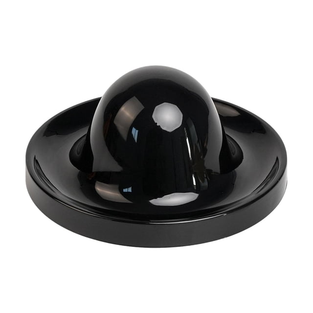 Flynix Habitat Decor Reptile Feeding Dish Compact Turtle Food Tray Easy Maintenance for Black