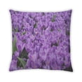 thumbnail image 2 of Ahgly Company Color Focus Purple Outdoor Throw Pillow, 18 inch by 18 inch, 2 of 6