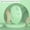 green, variant on Wireless Mouse Rechargeable Mouse Dual Modes Bluetooth-compatible 2.4G USB Mute Mice For Laptop Pad Tablet Macbook Mause