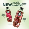 thumbnail image 4 of Herbal Essences Color + Protect Grapeseed Sulfate Free Shampoo, 13.5 fl oz, 4 of 11