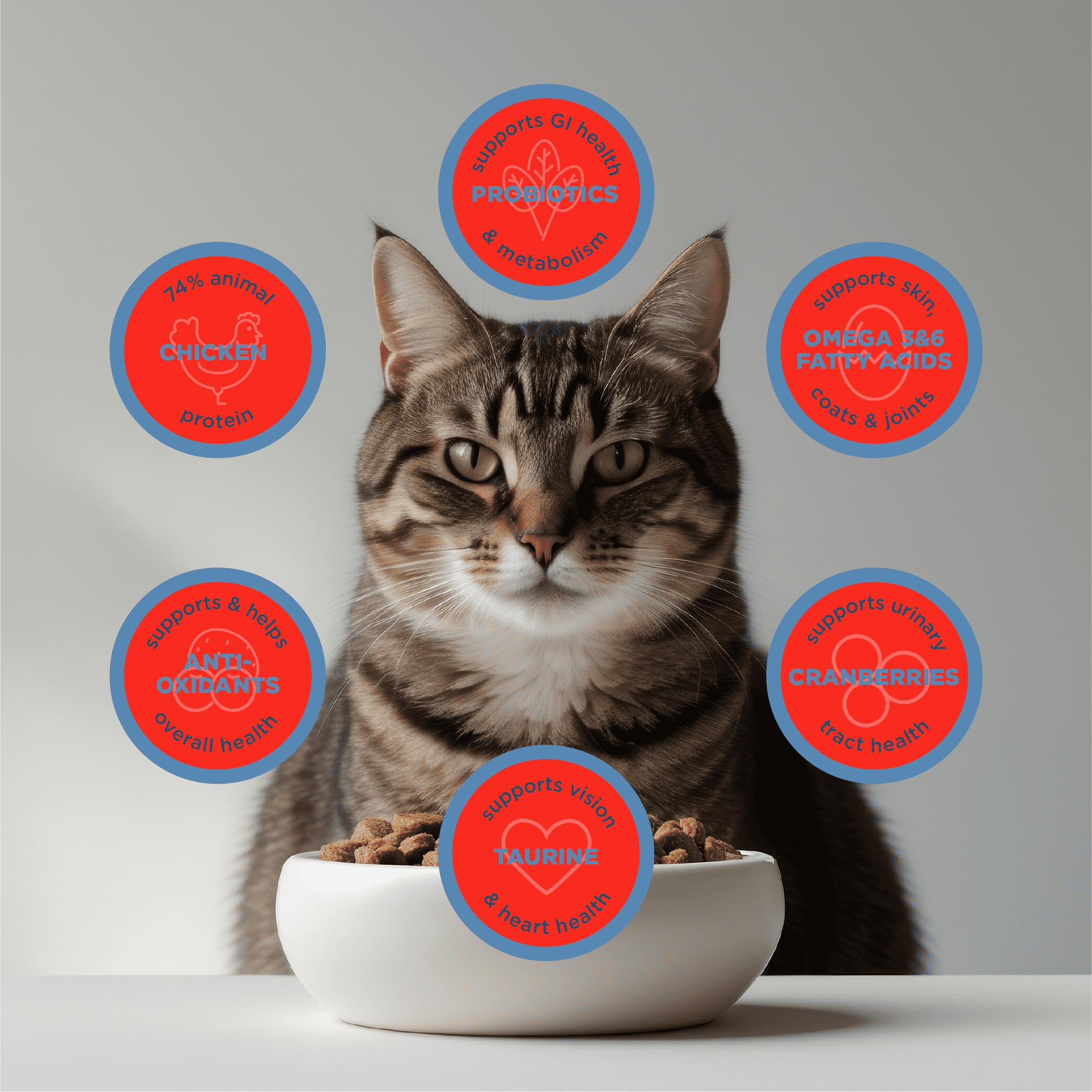 Blackwood Grain Free Cat Food Chicken Meal & Field Pea 13.2 lb.