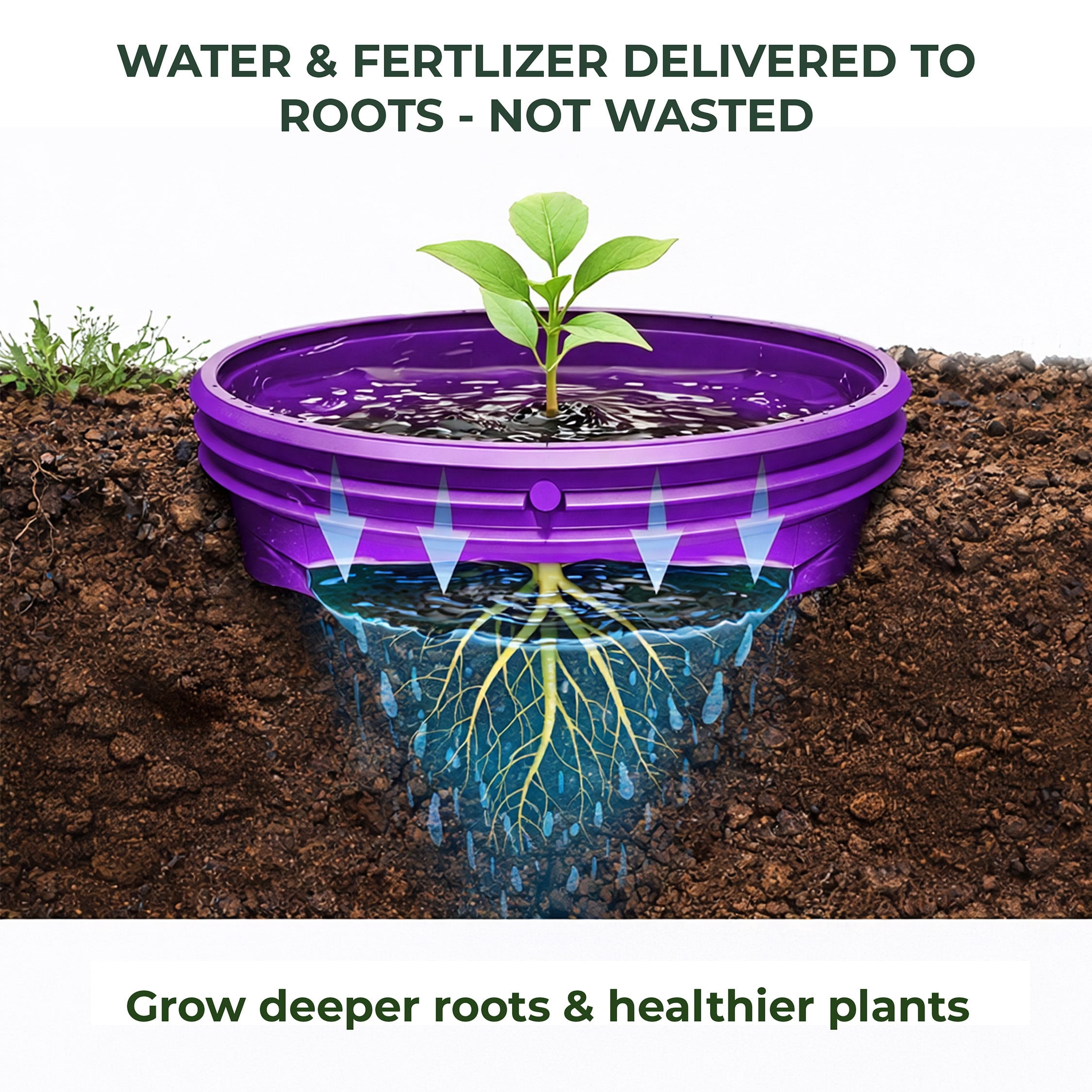 Rooted Promise 7 inch Solid Planting Grow Rings, Perfect for Deep Watering Veggies Herbs and Flowers, Protection and Edging of Garden Plants, Purple, Made in The USA - Pack of 24
