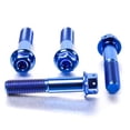 thumbnail image 3 of Titanium Front Brake Caliper Mount Bolt Kit DualDrive (TIFBMON570DD), 3 of 6