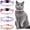 Pink, Purple, variant on Miaocao 4 Pcs Rhinestone Cat Collar Heart Bling Breakaway Girl Cat Soft Velvet Fancy Adjustable Safety Kitten Collar with Bell 8-11 Inch for Small Dogs and Kitty(Red, Black)