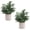 Gray Green-small, variant on NexTone 2 Pack Small Fake Plants Eucalyptus Potted Artificial Plants for Shelf Desk Home Bathroom Farmhouse Room Coffee Table Decor (Sage Green)
