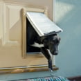 thumbnail image 4 of endura flap pet door double flap door mount - medium flap (8" x 15"), sturdy aluminum black frame, 4 of 8