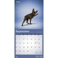 thumbnail image 4 of Yoga Dogs OFFICIAL | 2026 12x24" (Hanging) Square Wall Calendar | Plastic-Free, 4 of 9