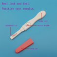 thumbnail image 3 of EIMELI Fake Prank Joke Pregnancy Test April Fool‘S Day Practical Joke Toy, 3 of 4