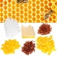 thumbnail image 5 of Caja de cultivo de cría de abejas ambiental juego de caja de cría de abejas caja de cultivo segura juego de herramientas de abeja para sistema de cría de animales ANGGREK Otros, 5 of 8