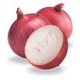 thumbnail image 1 of 250 RED BURGUNDY ONION Allium Cepa Vegetable Seeds, 1 of 2