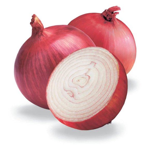 250 RED BURGUNDY ONION Allium Cepa Vegetable Seeds