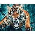 thumbnail image 1 of Pintura de diamante (DE5323) tigre gruñido cuadro de diamantes de imitación redondo completo DIY 40x30cm 20X30cm FLhrweasw Nuevo, 1 of 1