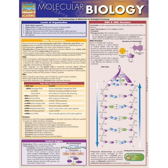 Molecular Biology Quickstudy Easel