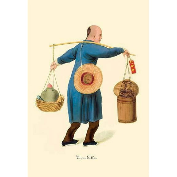 Viper Seller-Fine Art Canvas Print (20" x 30")