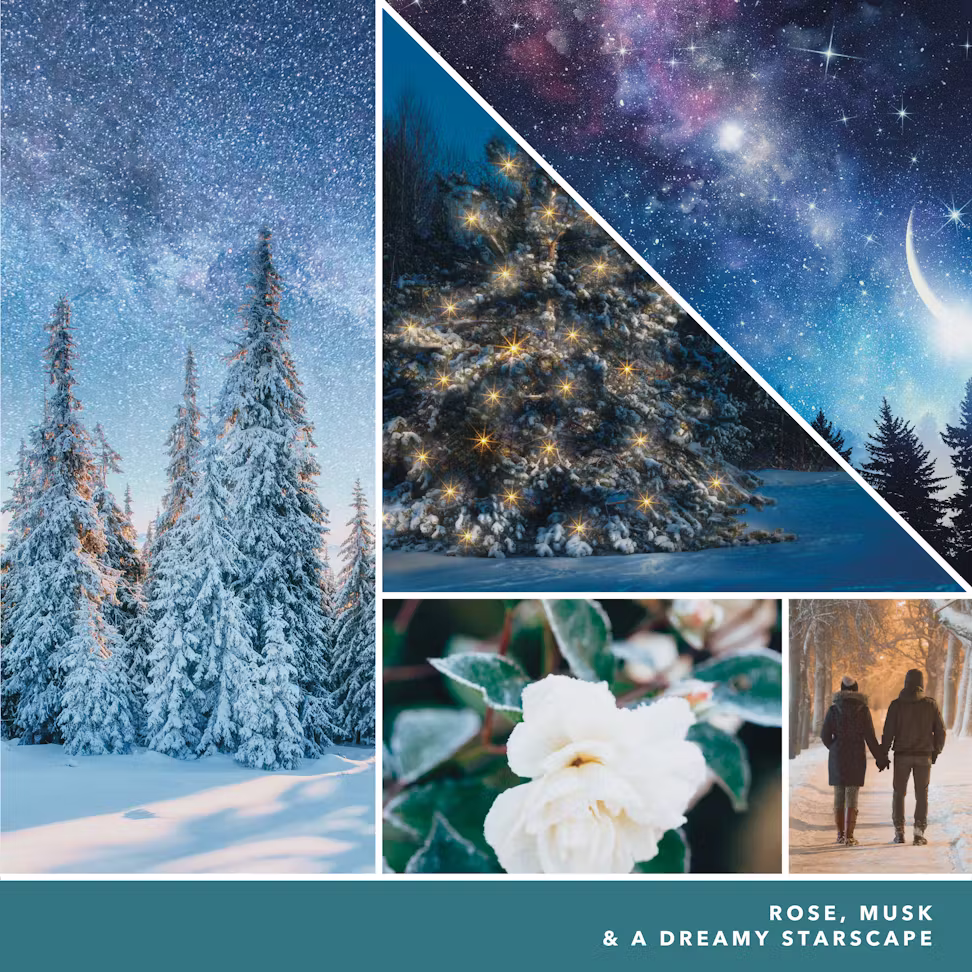 thumbnail image 3 of Yankee Candle WINTER NIGHT STARS Large Signature 2-Wick 20oz Jar Candle, 3 of 3