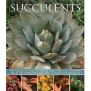 TERRY HEWITT Succulents: An Illustrated Guide to Varieties, Cultivation and Care, with Step-By-Step Instructions and Over 145 Stunning Photographs (Paperback)