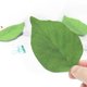thumbnail image 3 of 12 paquetes de notas adhesivas de hojas verdes, bloc de notas de papel, bonitos suministros para tomar notas, decoración para el hogar, la oficina y la escuela, 3 of 8