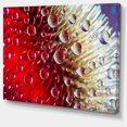 thumbnail image 2 of Colorful Red Flower in Raindrops - Large Floral Canvas Artwork, 2 of 4