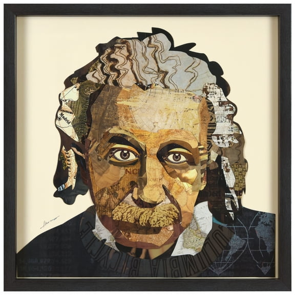 "Einstein" Alex Zeng’s dimensional collage, under glass & a black shadow box frame