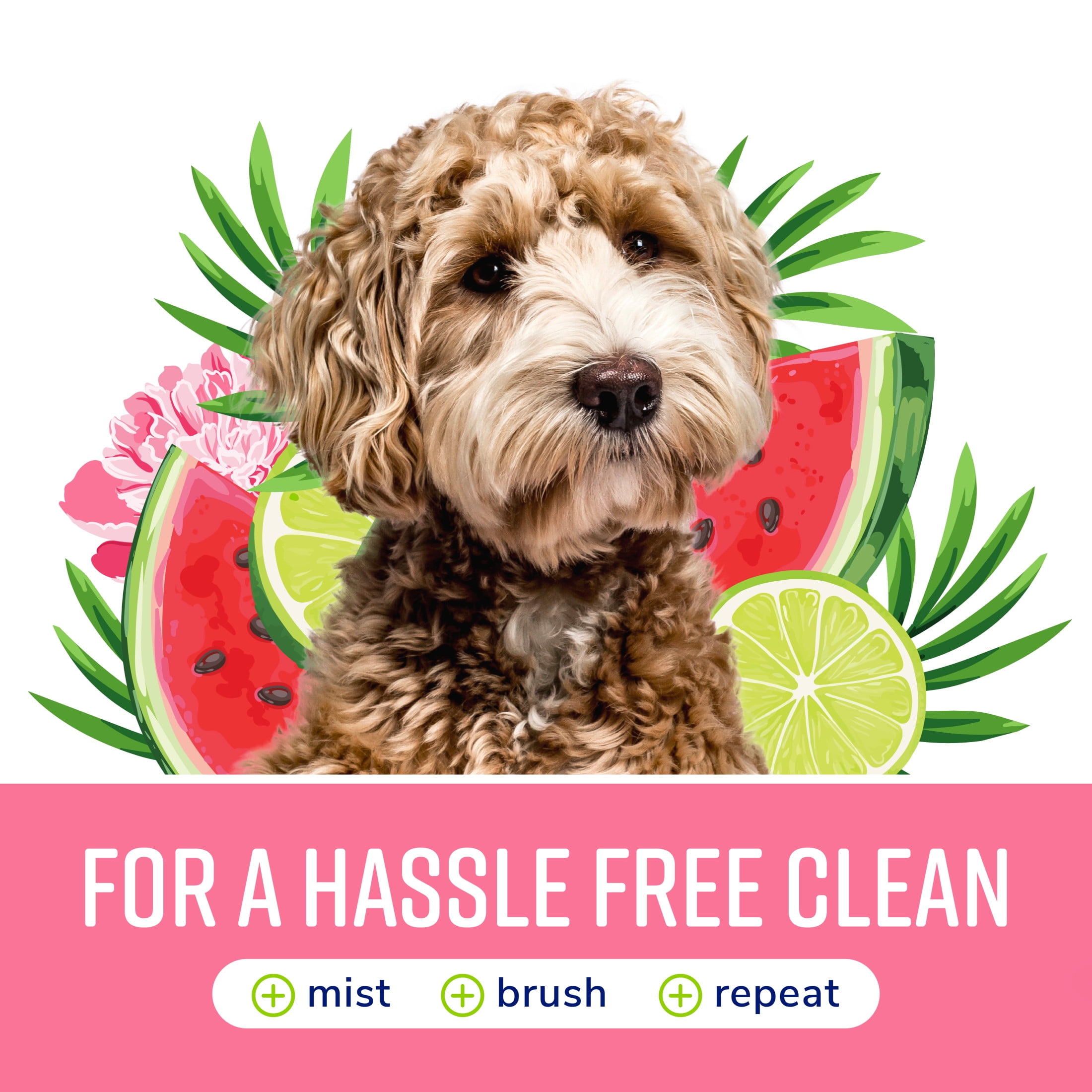 Naturel Promise Fresh & Soothing Deodorizing Spray Pet Refresh Spray, Sweet Summer Scent, 8 fl oz