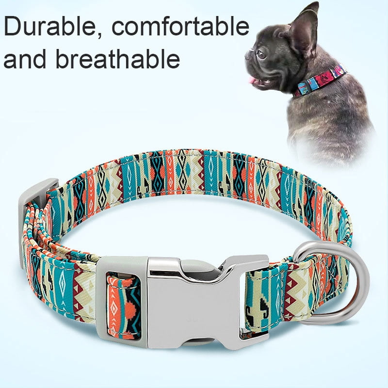 engraved pet collar