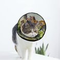 thumbnail image 1 of Spring River Soft Cat Dog Recovery Collar Adjustable Cat Cone Wound Healing Protective After Surgery for Kitten Cones After Surgery, 1 of 7
