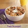 thumbnail image 2 of Kellogg's Raisin Bran Cereal Crunch 43.3oz, 2 of 10