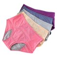 thumbnail image 1 of uds ropa interior a prueba de fugas para incontinencia femenina, pantalones protectores a prueba de fugas, 1 of 4