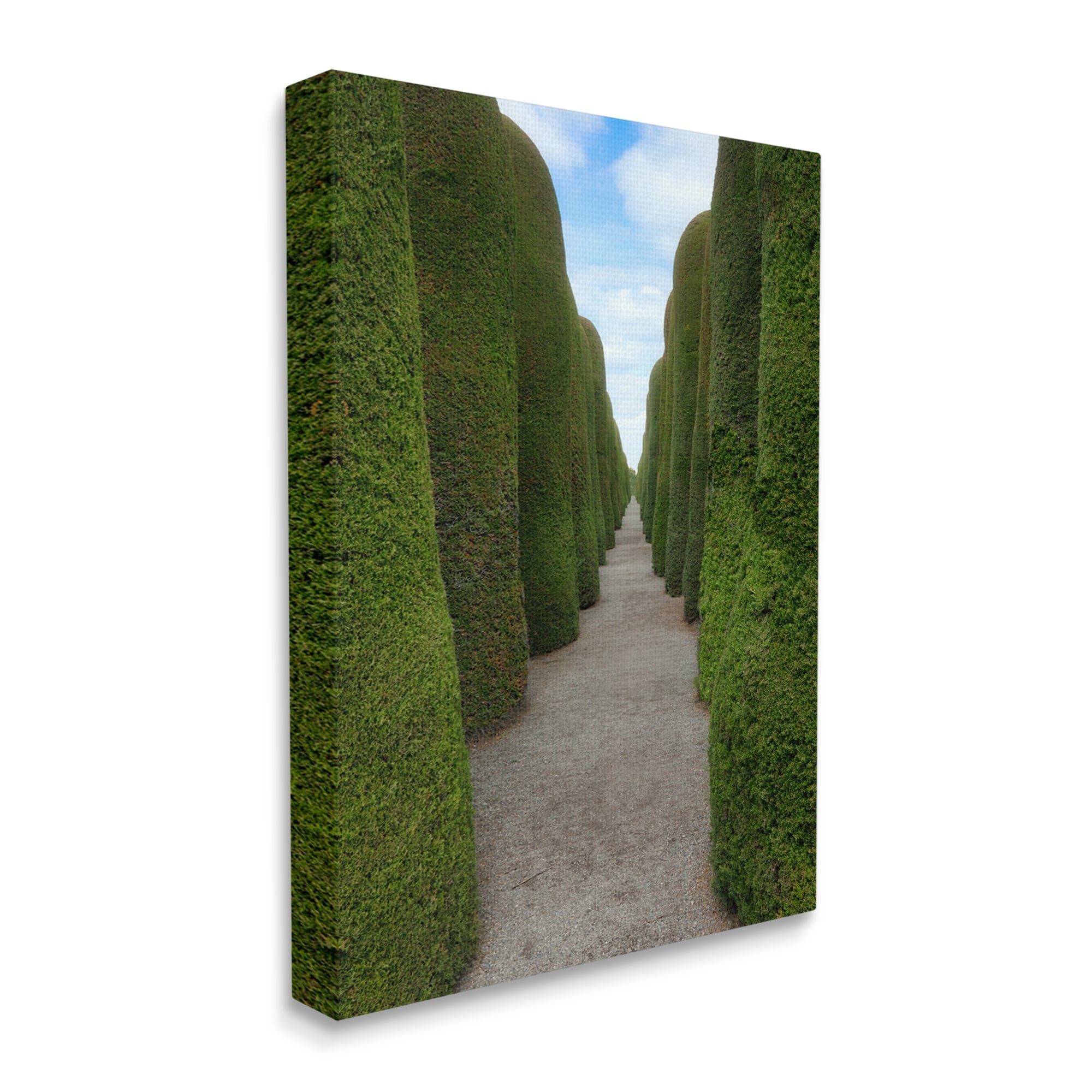 Stupell Industries Topiary Trees Hedge Pathway Landscape Photography Gallery Wrapped Canvas Print Wall Art